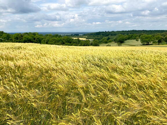 22-06-06 11-15-27 1051